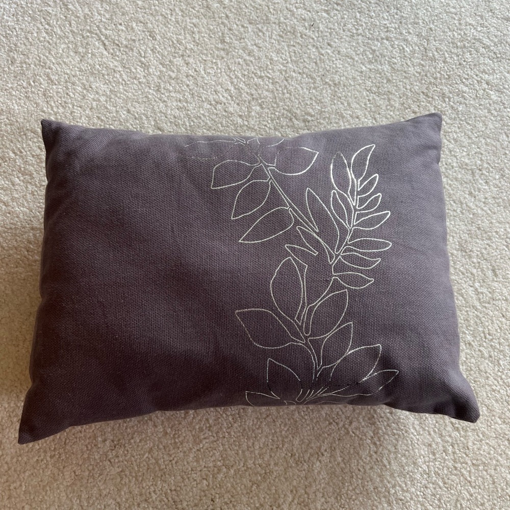 Small Calvin Klein pillow purchased from Macy’s EUC